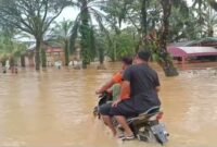 Banjir yang disebabkan hujan dan sungai yang meluap di desa alue bata, Tadu Raya (05/03/2025)