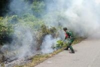 Kebakaran Gunong Malem, Aceh Jaya