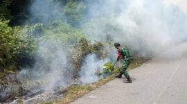 Kebakaran Gunong Malem, Aceh Jaya