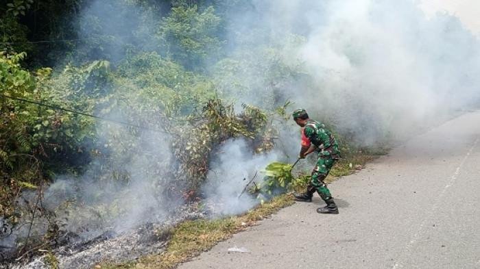 Kebakaran Gunong Malem, Aceh Jaya