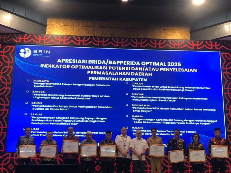 Momen penerimaan penghargaan BRIDA/BAPPERIDA Optimal 2025 oleh Wakil Bupati Aceh Jaya, Muslem D, S.E., di Gedung B.J. Habibie, Jakarta.