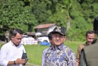 Bupati Aceh Jaya, Safwandi, S.Sos., M.A.P