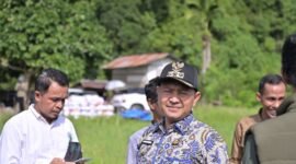 Bupati Aceh Jaya, Safwandi, S.Sos., M.A.P