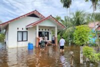 BNPB dan Pemkab Aceh Jaya meninjau lokasi banjir, pastikan penanganan darurat dan distribusi bantuan berjalan cepat serta efektif.