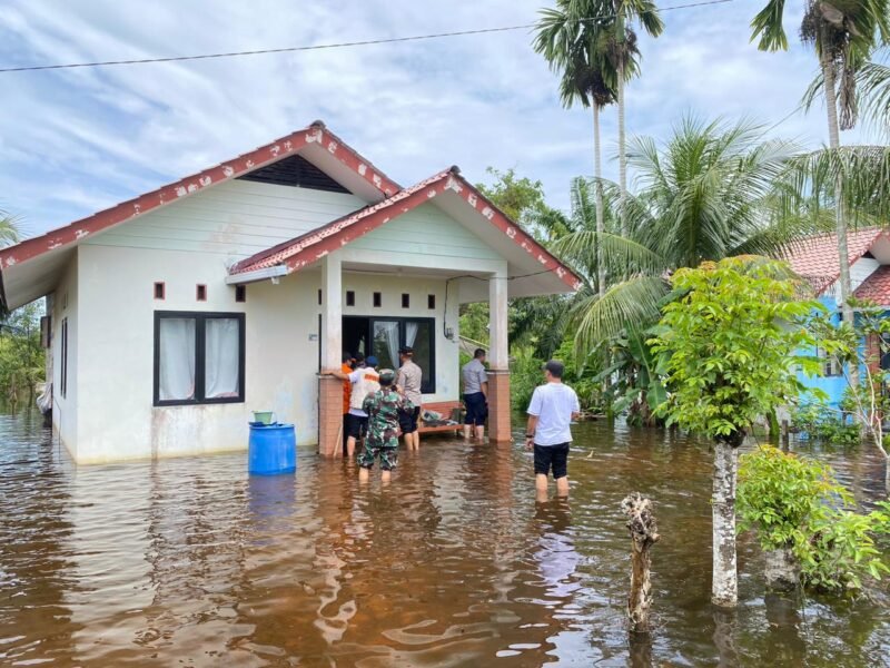 BNPB dan Pemkab Aceh Jaya meninjau lokasi banjir, pastikan penanganan darurat dan distribusi bantuan berjalan cepat serta efektif.