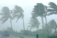 ilustrasi hujan dan angin kencang