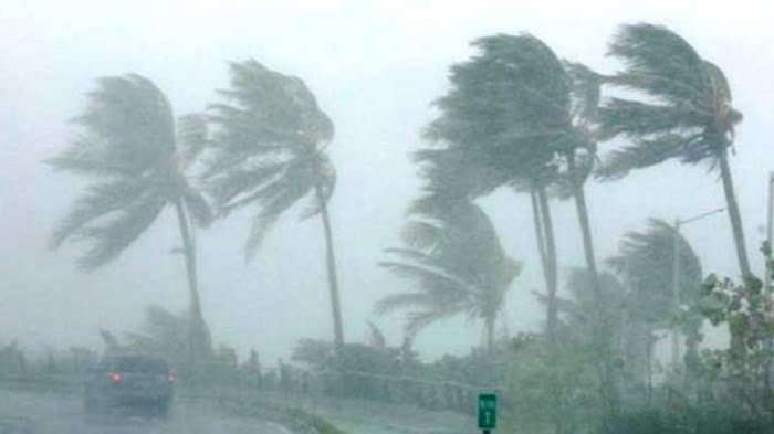 ilustrasi hujan dan angin kencang